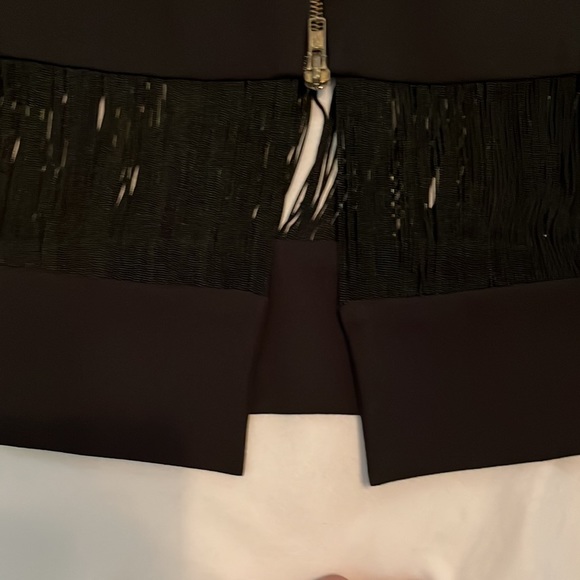 Super fancy cocktail dress. Has fringe at the top and bottom of dress. - Picture 7 of 12